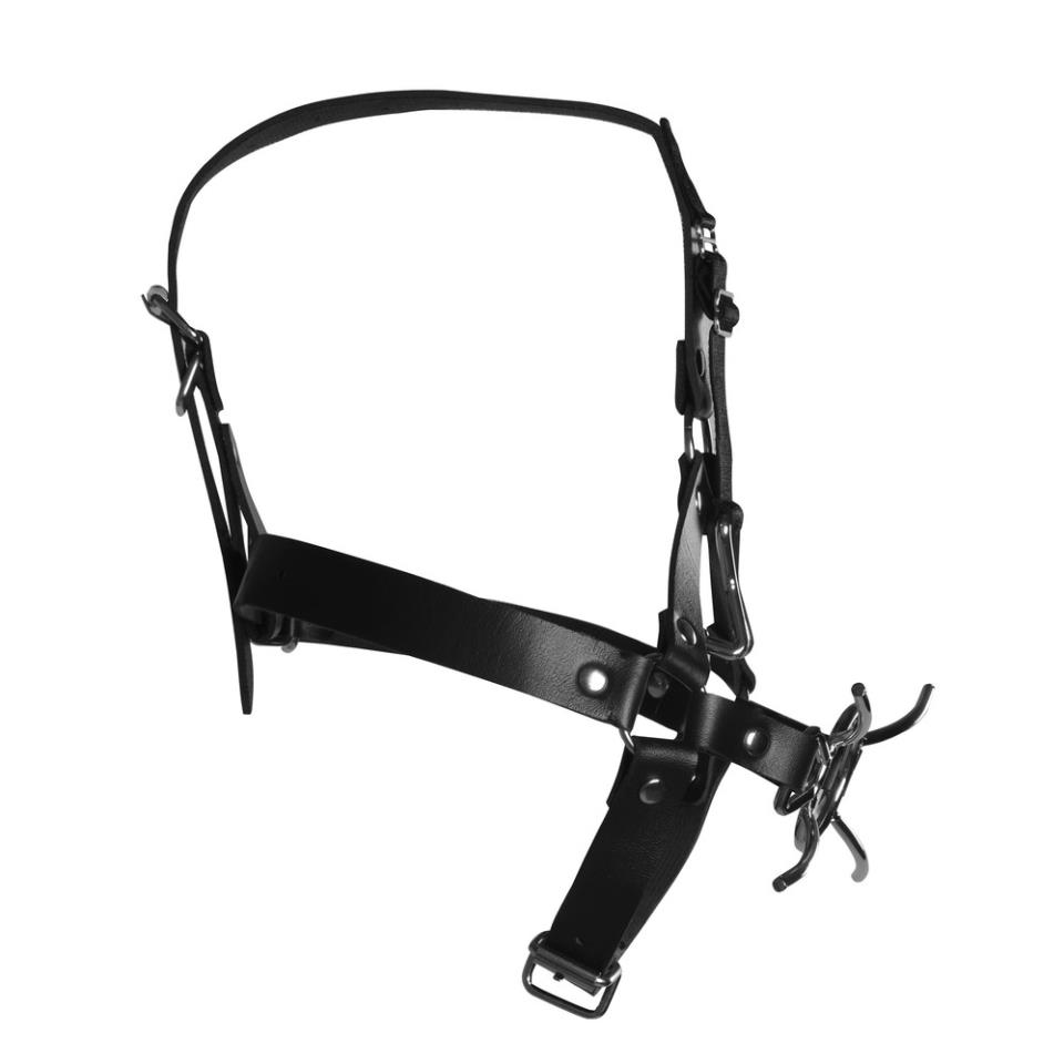 Ouch Xtreme Head Harness With Spider Gag And Nose Hooks