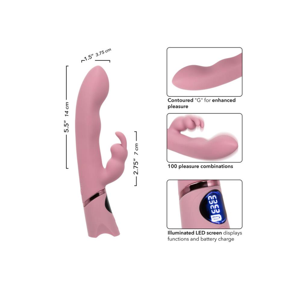 Orgasmatron Digital GBunny Vibrator