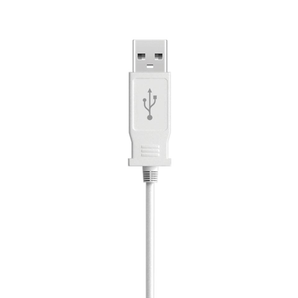iSex USB Vibrating Anal T Probe